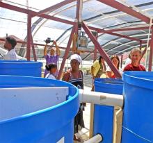Workshop participants cluster around the tilapia tanks.